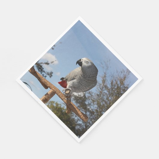 Verbluffende Afrikaanse grijze papegaai Servetten (Hoek)