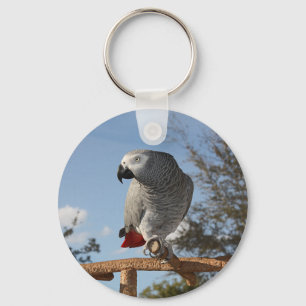 Verbluffende Afrikaanse grijze papegaai Sleutelhanger