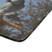 Verbluffende Afrikaanse grijze papegaai Snijplank (Hoek)