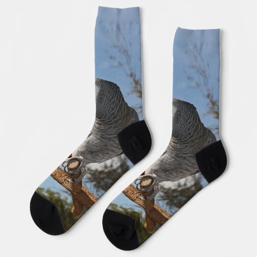 Verbluffende Afrikaanse grijze papegaai Sokken (Links)