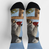 Verbluffende Afrikaanse grijze papegaai Sokken (Top)