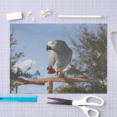 Verbluffende Afrikaanse grijze papegaai Tissuepapier (Craft)