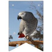 Verbluffende Afrikaanse grijze papegaai Vlaggetjes (Tweede vlag)