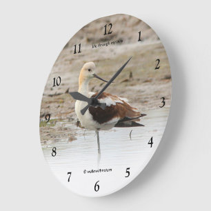 Verbluffende Amerikaanse antivocetenvogel bij het Grote Klok
