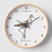 Verbluffende Amerikaanse antivocetvogel die het st (Voorkant)