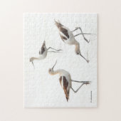 Verbluffende Amerikaanse antivocetvogels op het st Legpuzzel (Verticaal)