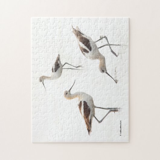 Verbluffende Amerikaanse antivocetvogels op het st Legpuzzel (Verticaal)