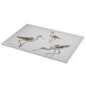 Verbluffende Amerikaanse antivocetvogels op het st Snijplank (Hoek)