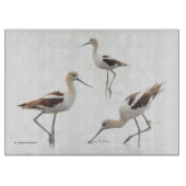 Verbluffende Amerikaanse antivocetvogels op het st Snijplank (Voorkant)