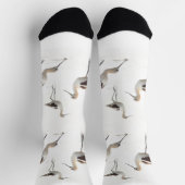 Verbluffende Amerikaanse antivocetvogels op het st Sokken (Top)