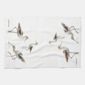 Verbluffende Amerikaanse antivocetvogels op het st Theedoek (Horizontaal)