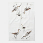 Verbluffende Amerikaanse antivocetvogels op het st Theedoek (Verticaal)