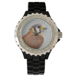 Verbluffende Amerikaanse torenvalk roofvogel Horloge