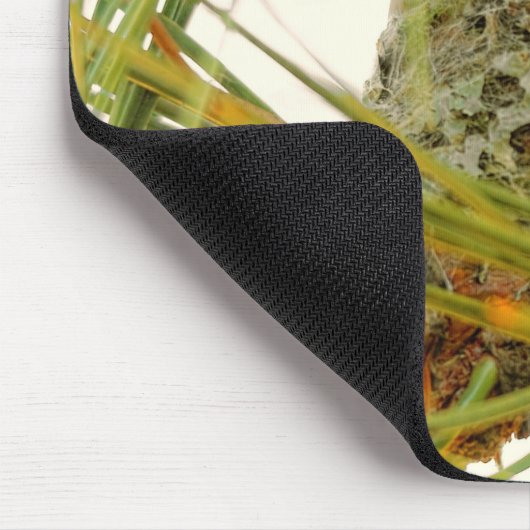 Verbluffende Anna's Hummingbird Mam op Nest Muismat (Hoek)