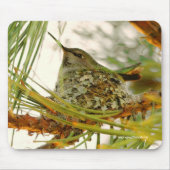 Verbluffende Anna's Hummingbird Mam op Nest Muismat (Voorkant)