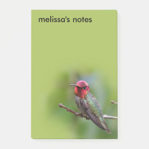 Verbluffende Anna's Hummingbird op fruitbomen Post-it® Notes