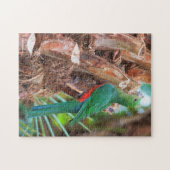 Verbluffende Australische Koning Parrot die een bo Legpuzzel (Horizontaal)