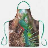 Verbluffende Australische Koning Parrot die een bo Schort (Voorkant)