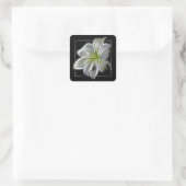 Verbluffende blanke Lily Fractal Art Black Vierkante Sticker (Tas)