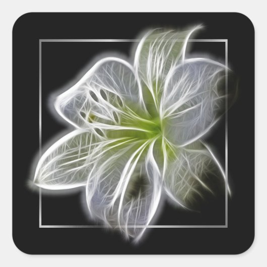 Verbluffende blanke Lily Fractal Art Black Vierkante Sticker (Voorkant)