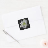 Verbluffende blanke Lily Fractal Art Black Vierkante Sticker (Envelop)