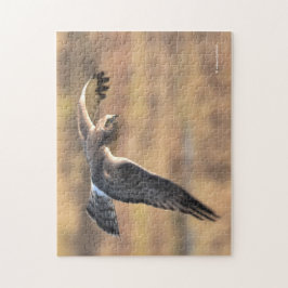 Verbluffende Blauwe Kiekendief op jacht in het moe Legpuzzel