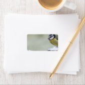 Verbluffende blauwe stift wilde vogel in de sneeuw etiket (Insitu)