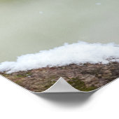 Verbluffende blauwe stift wilde vogel in de sneeuw poster (Hoek)