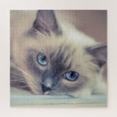Verbluffende Blue Eyed Ragdoll Legpuzzel (Verticaal)