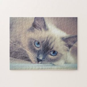 Verbluffende Blue Eyed Ragdoll Legpuzzel