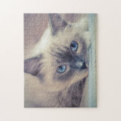 Verbluffende Blue Eyed Ragdoll Legpuzzel (Verticaal)