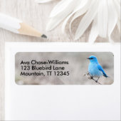 Verbluffende Bluebird Songbird op Tansy Etiket (Insitu)