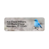 Verbluffende Bluebird Songbird op Tansy Etiket (Voorkant)