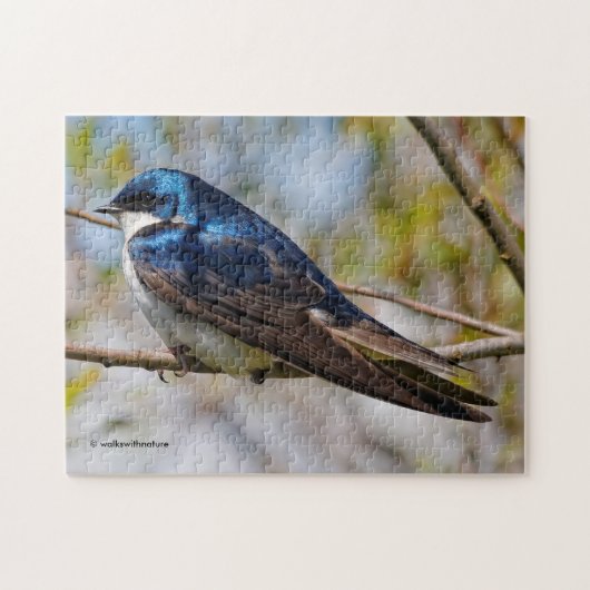 Verbluffende boomzwaluw-zongvogel op een tak legpuzzel (Horizontaal)