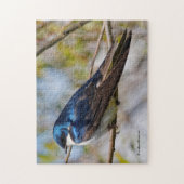 Verbluffende boomzwaluw-zongvogel op een tak legpuzzel (Verticaal)