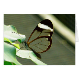 Verbluffende bruine en doorschijnende vlinder