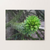 Verbluffende Chileense Pine Monkey Puzzle Tree Legpuzzel (Horizontaal)
