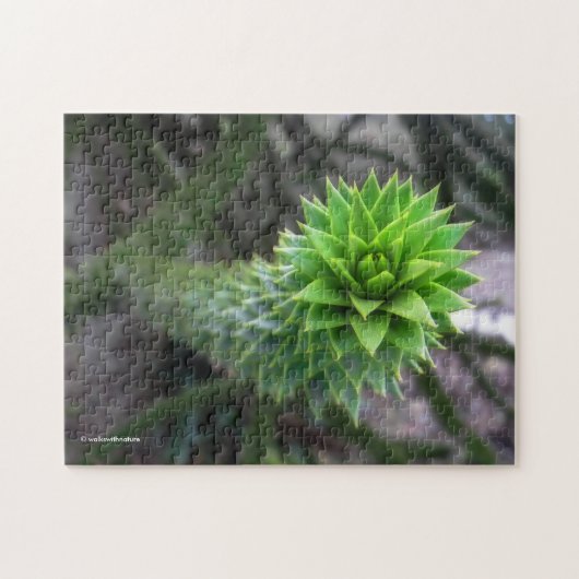 Verbluffende Chileense Pine Monkey Puzzle Tree Legpuzzel (Horizontaal)