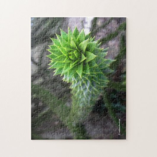 Verbluffende Chileense Pine Monkey Puzzle Tree Legpuzzel (Verticaal)