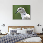 Verbluffende Collared Dove Canvas Afdruk (Insitu (Slaapkamer))