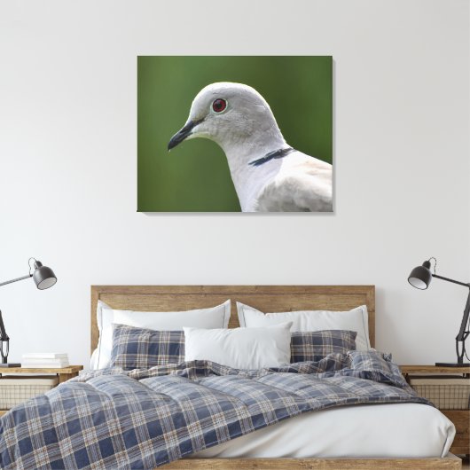 Verbluffende Collared Dove Canvas Afdruk (Insitu (Slaapkamer))