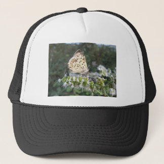Verbluffende crème en chocolade-vlinder trucker pet