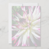 Verbluffende Dahlia Bloem Bruiloft Save The Date (Achterkant)