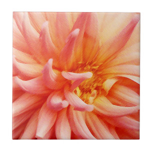 Verbluffende Dahlia Bloem Tegeltje