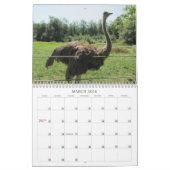 Verbluffende dieren 2013 kalender (Mar 2026)