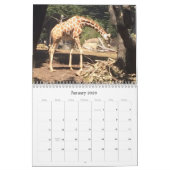 Verbluffende dieren kalender (Jan 2026)