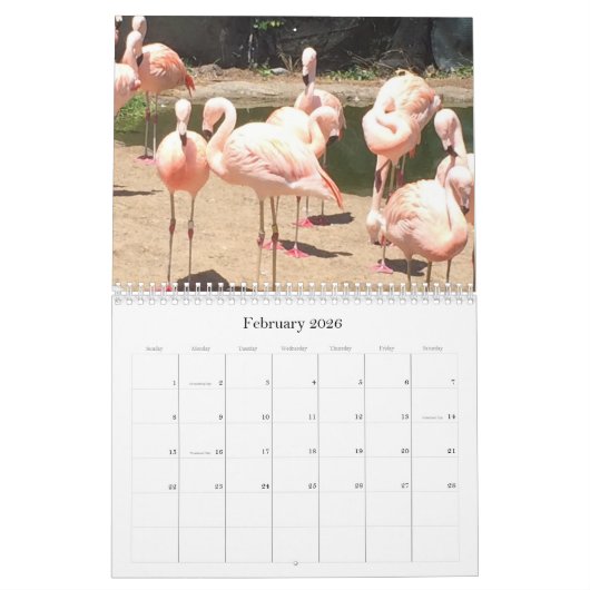 Verbluffende dieren kalender (Feb 2026)