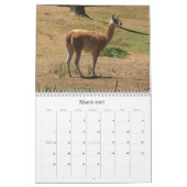 Verbluffende dieren kalender (Mar 2027)