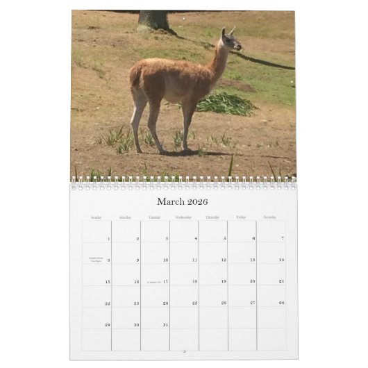 Verbluffende dieren kalender (Mar 2026)