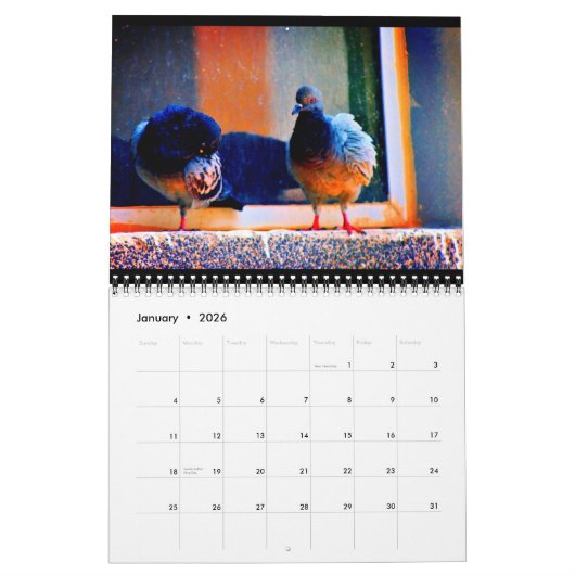 Verbluffende duiven kalender (Jan 2026)
